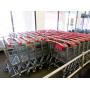WINN DIXIE SUPERMARKET - SILVER SPRINGS, FL