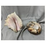 Conch shell and basket