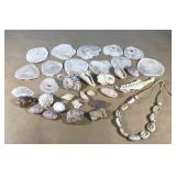 Seashells, jawbone with teeth and shell necklace