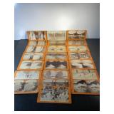 Antique Niagara Falls Stereograph cards