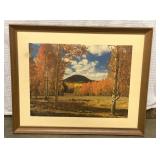 Vintage Union Pacific Railroad Quaking Aspen