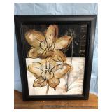 Printed Framed 19"x24"