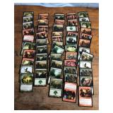 Magic The Gathering Cards