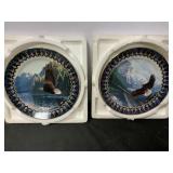 Eagle plates