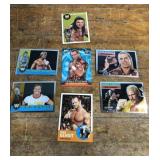 WWE Wrestling trading cards incl Chris Benoit