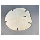 Sand Dollar