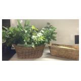 Silk plant & planter