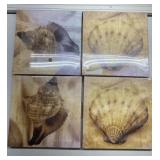 SEALED sea shell decor canvas SEALED sea shell decor canvas