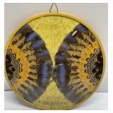 Made w/ real Butterflies wall hanging Made w/ real Butterflies wall hanging