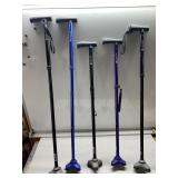 Hurrycanes Walking Canes