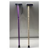 Colorful Walking Canes