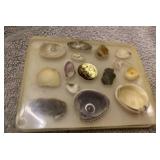 Vintage seashell paperweight-South Carolina Vintage seashell paperweight-South Carolina