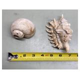 Shells Shells