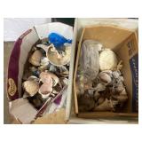 2 boxes of sea shells 2 boxes of sea shells