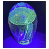 Glow in the Dark jellyfish art glass paperweight