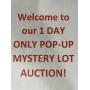 MYSTERY LOT POP-UP AUCTION TONIGHT ONLY!