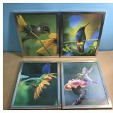 4 framed 8x10 photo prints of birds & flowers