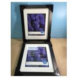 NEW sealed picture frames