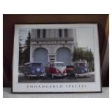 Print VW Endangered Species (Framed)
