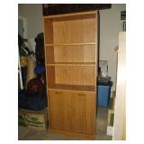 Book Shelf with Doors