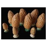 ONLINE - ECLECTIC COLLECTIONS AUCTION