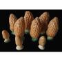 ONLINE - ECLECTIC COLLECTIONS AUCTION