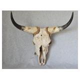 Vintage Longhorn Cow Skull 26" Span