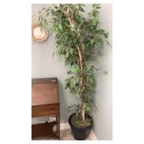 Decorative (Faux) Plant H 78