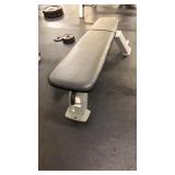 Nautilus Flat Workout Bench