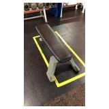 Nautilus Flat Workout Bench