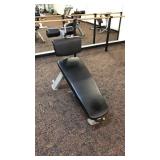 Nautilus Adjustable Decline Workout Bench