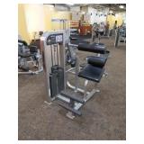 LifeFitness Back Extension