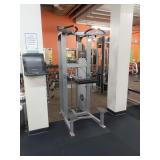 LifeFitness Assisted Dip/Chin