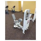 Cybex Hip Adduction