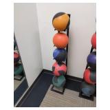 5 Medicine Balls With Rack
