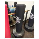 Wave Master Punching Bag