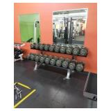 Set of 20 Troy Dumbbells With Rack