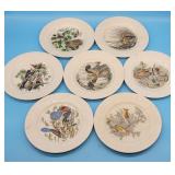 7 Bird of America John James Audubon Plates Adams