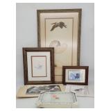 Grouping of Framed Prints, Crosstich Seashells +
