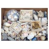 Lg Shoebox of Assorted Sea Shells & Polished Rocks