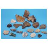 Lot of Fossilized Wood & Cool Rocks