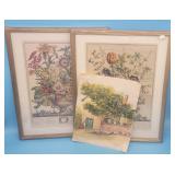 2 Williamsburg Botanical Prints February September
