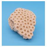 Natural Coral Piece Beach Decor