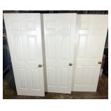 Interior Hollow Core Doors (3)