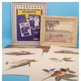 Bird & Wild Life Prints Rob Stine, Framed Sheet Mu
