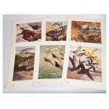 DELPFON Vintage Bird Print Set - (6) Prints