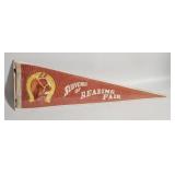 Reading Fair Souvenir Pennant - Horse & Horseshoe
