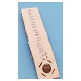 1865 - 1909 Indian Head Cents (20)