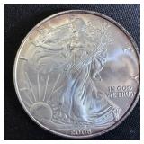 2006 American Silver Eagle