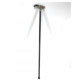 Sword cane with Dragon